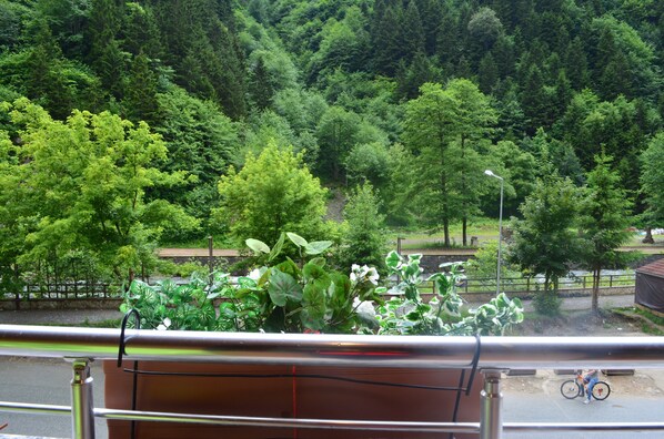 View from room