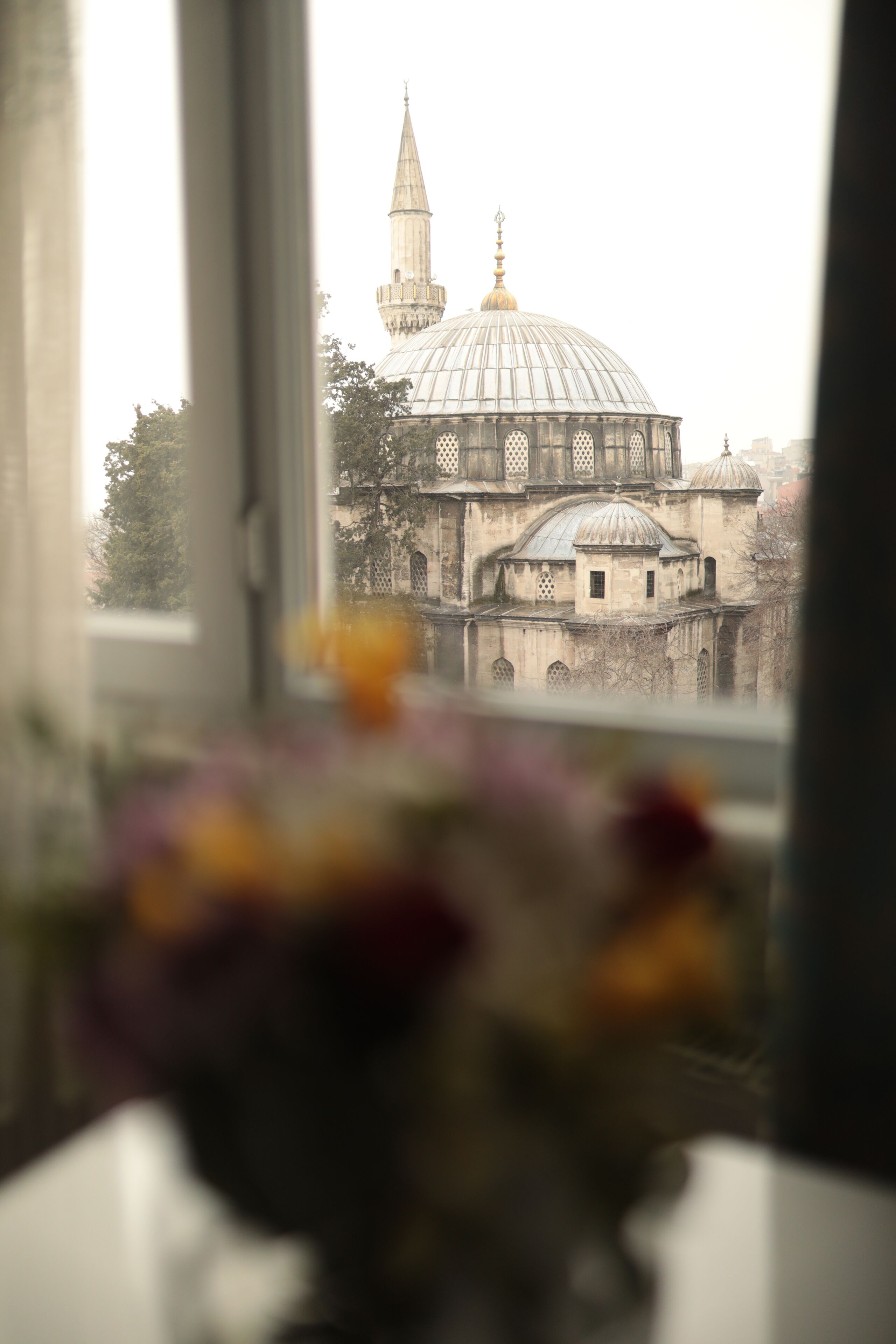 إطلالة الغرفة