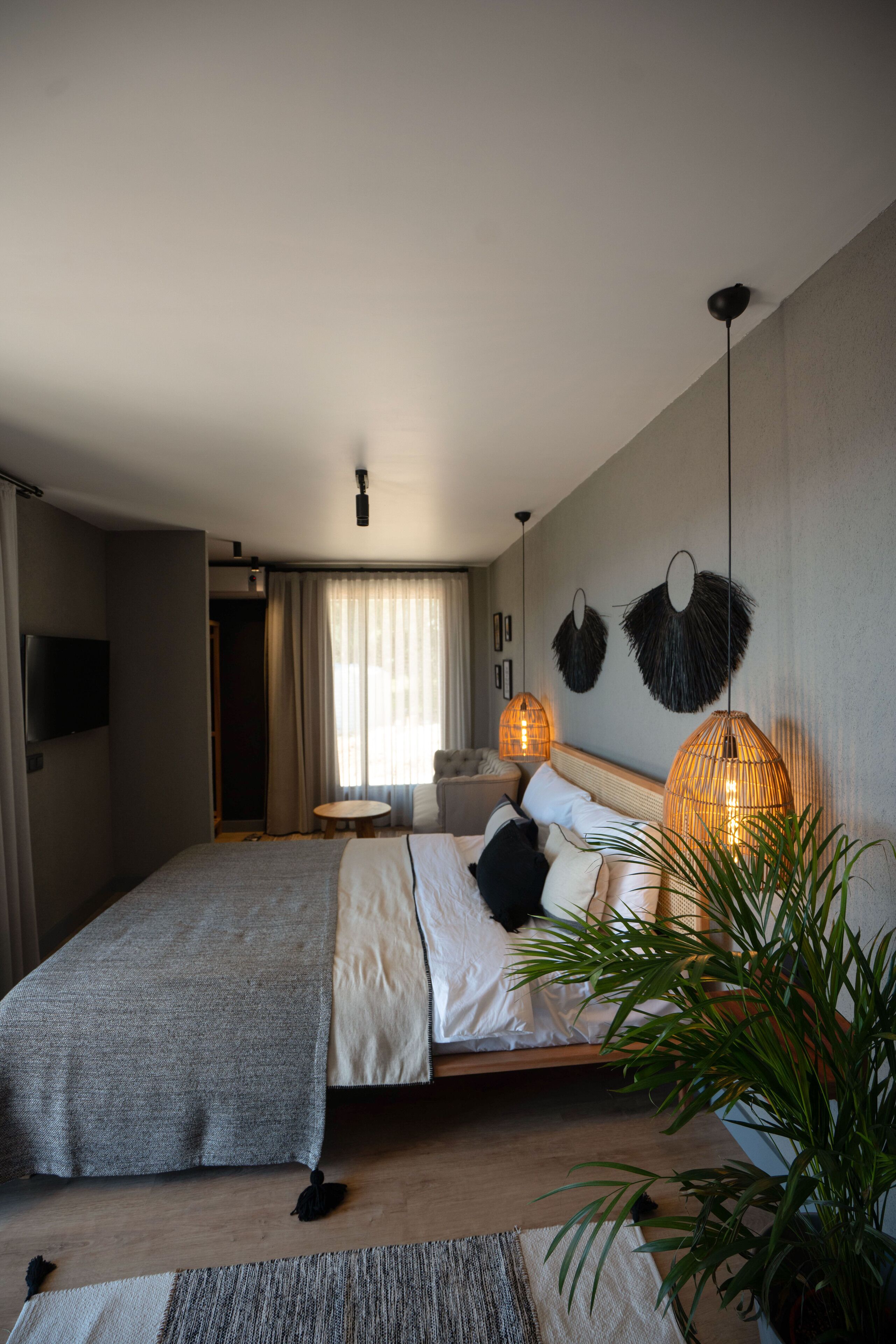A modern hotel room with a large bed, a bedside table, a chair, a TV, and a potted plant.