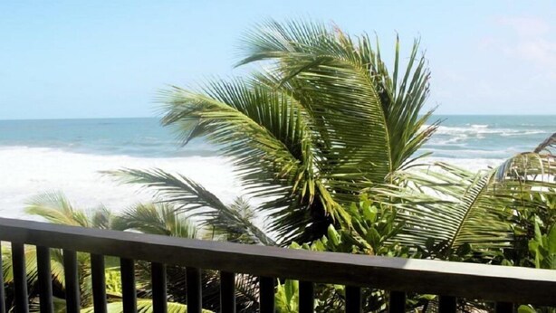 A view of the ocean with waves crashing onto the shore, palm trees, and a balcony railing. - Asiri Yoga Retreat (Boossa)