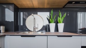 Una cucina moderna con lavello, rubinetto e due piante in vaso.