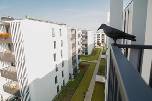 Vista desde la habitación
