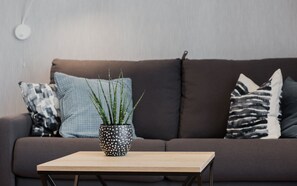 Televisión de pantalla plana, Netflix