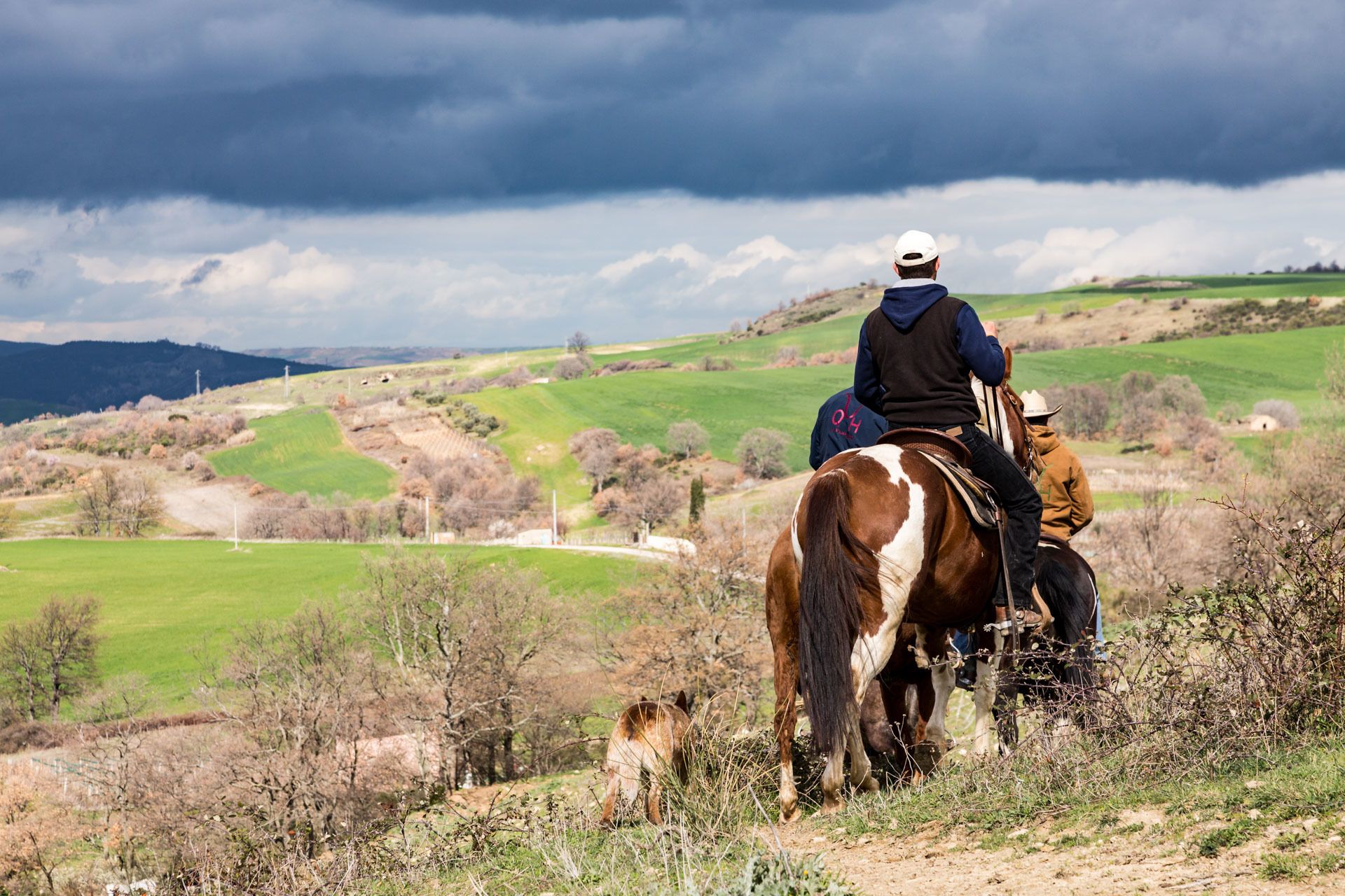 Una persona montando a caballo por un sendero de tierra, con campos verdes y colinas al fondo.