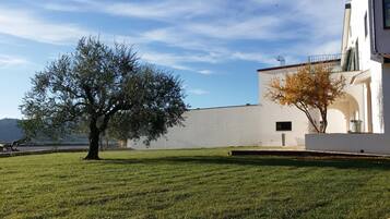 Un área con césped, un gran árbol en primer plano y un edificio blanco con techo plano al fondo.