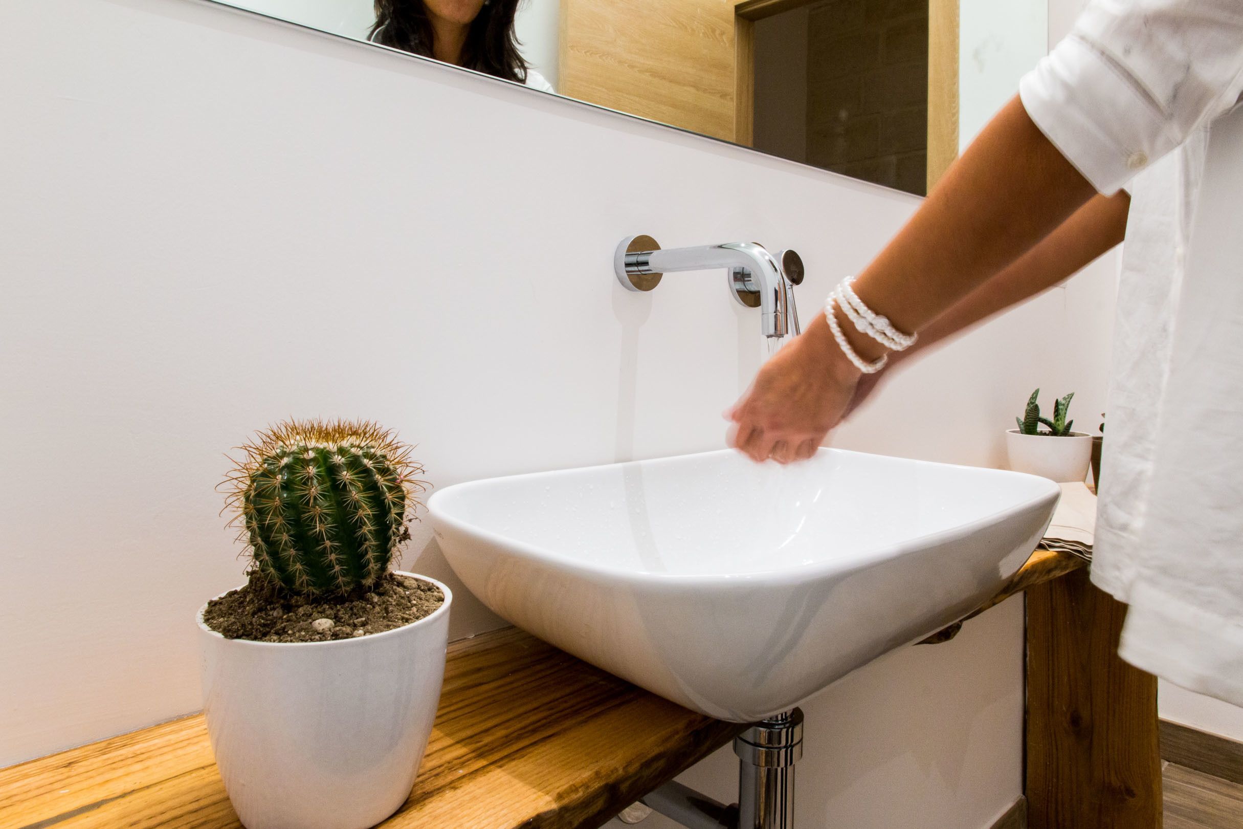 Un baño con lavamanos blanco, un grifo y una planta de cactus en maceta.