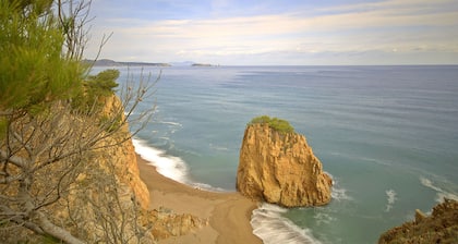 Appartement avec jardin et piscine - 800 m Plage de Pals (SG2 3H PP 212)