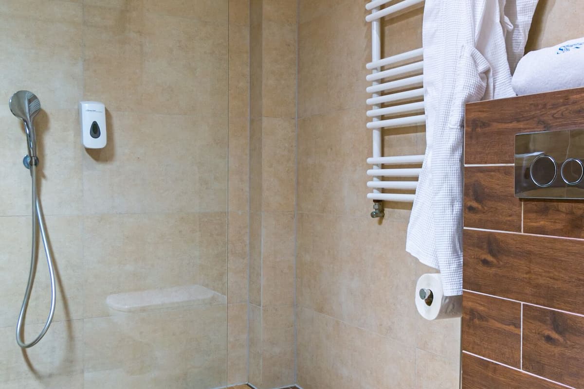 triple room | bathroom | shower, free toiletries, hair dryer, towels