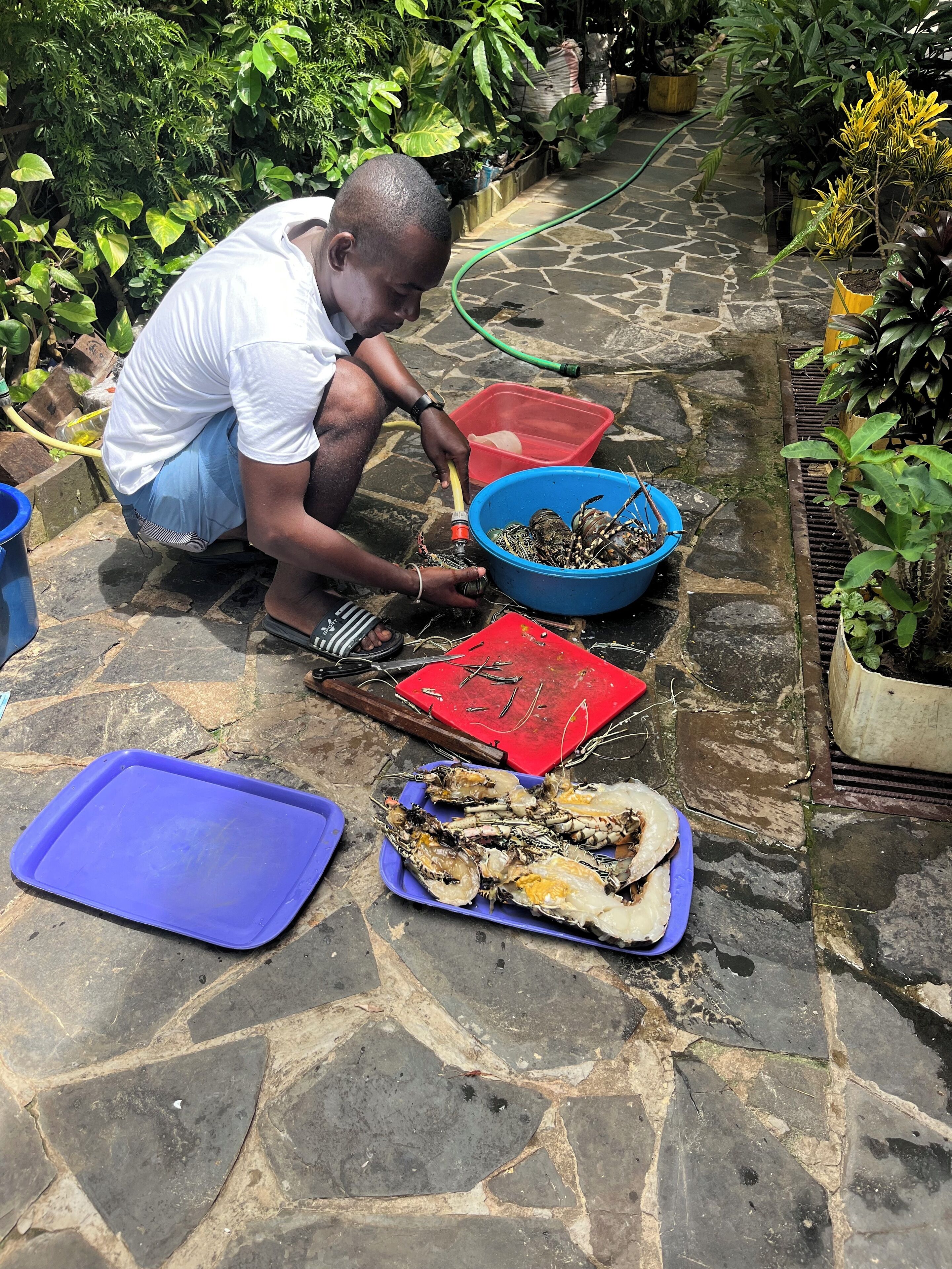 A person cleaning crabs on a stone floor with various containers and plants around.