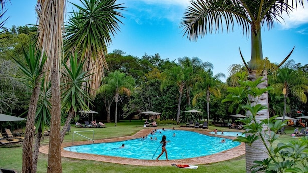 Una piscina rodeada de palmeras y sillas de descanso, con gente nadando y relajándose.