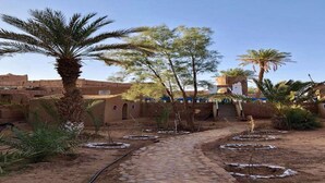 A courtyard with palm trees, a cobblestone path, and traditional architecture. - Locals Under Stars Trips (M'Hamid El Ghizlane)