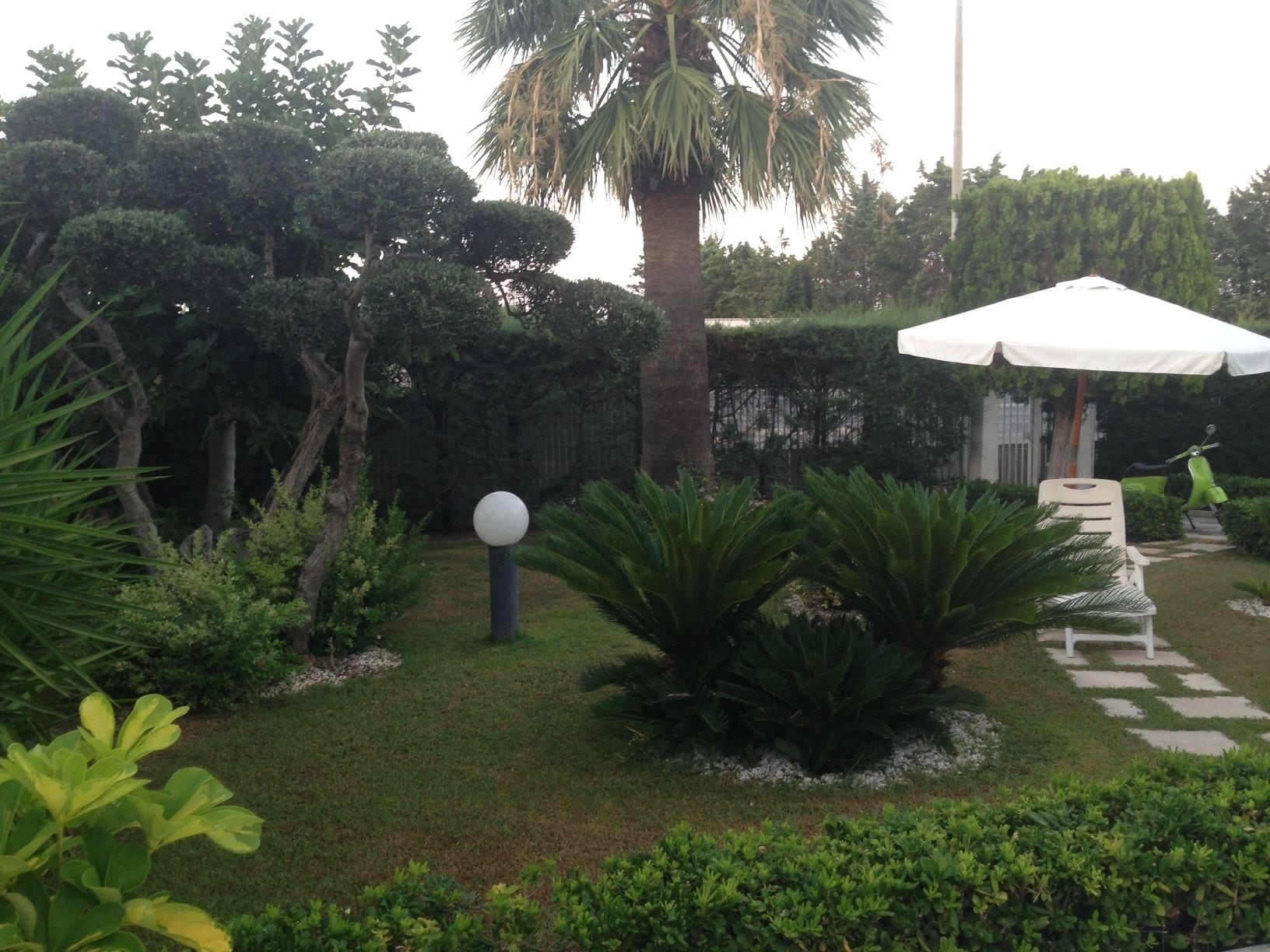 A garden with a white umbrella, a white chair, and a pathway.