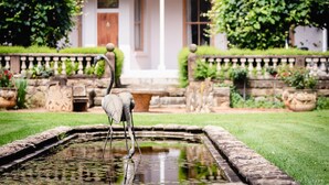 A bird statue in a pond with a building in the background. - Hartford House (Mooirivier)