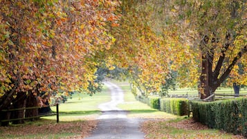Jardines del alojamiento