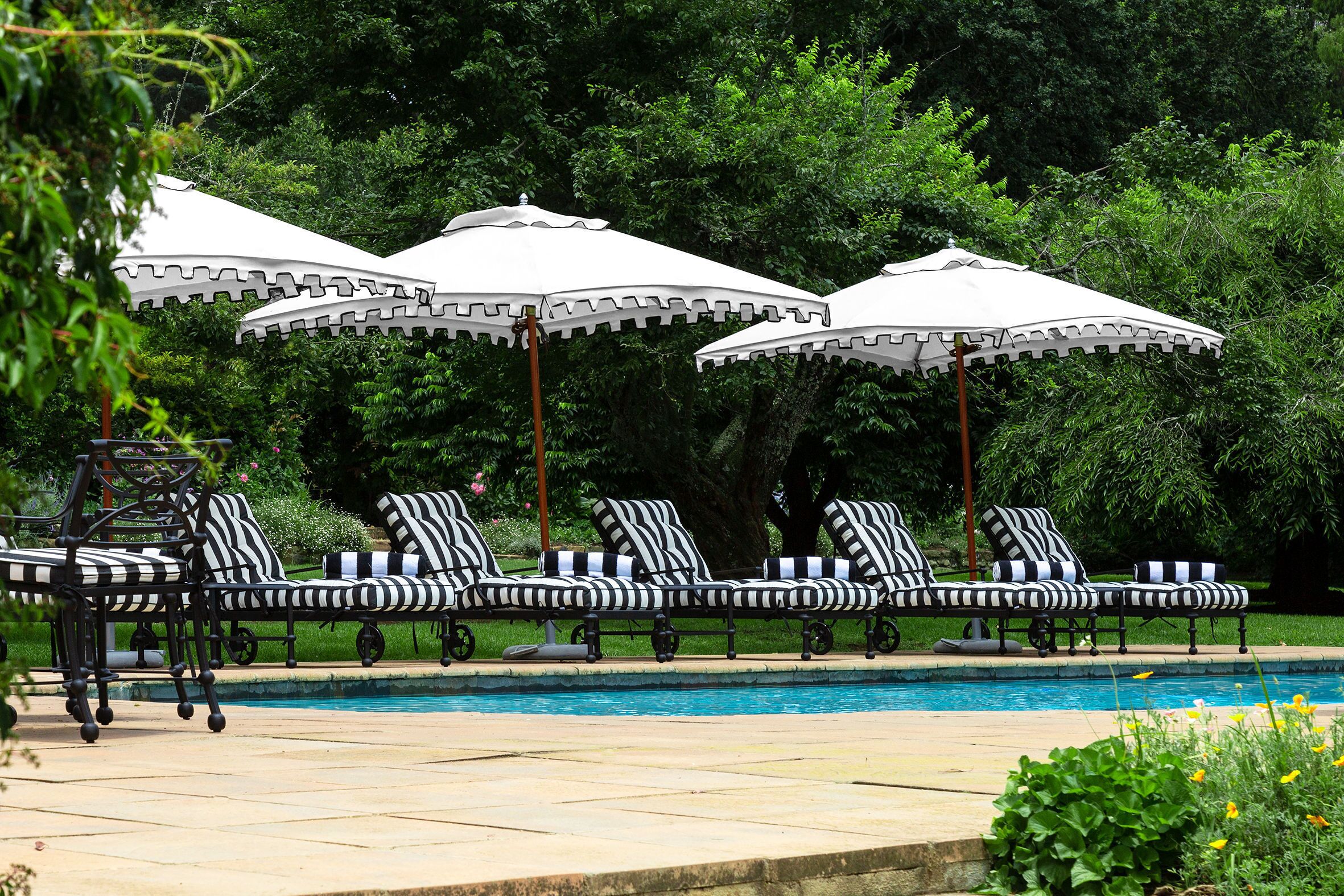 Un área junto a la piscina con sillones reclinables a rayas y sombrillas blancas.