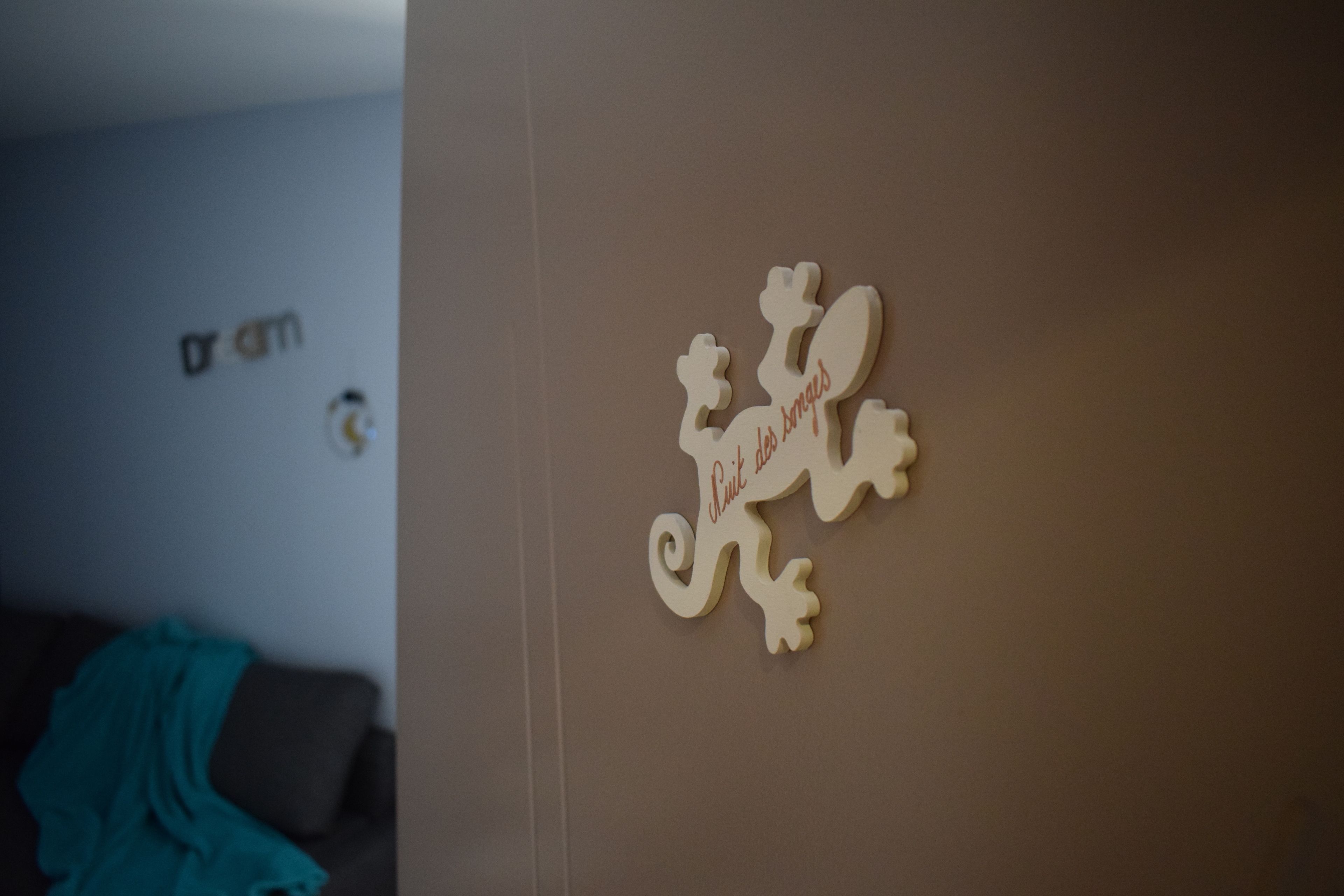 A wall with a decorative piece featuring a lizard and the text "Lizard and the snakes."