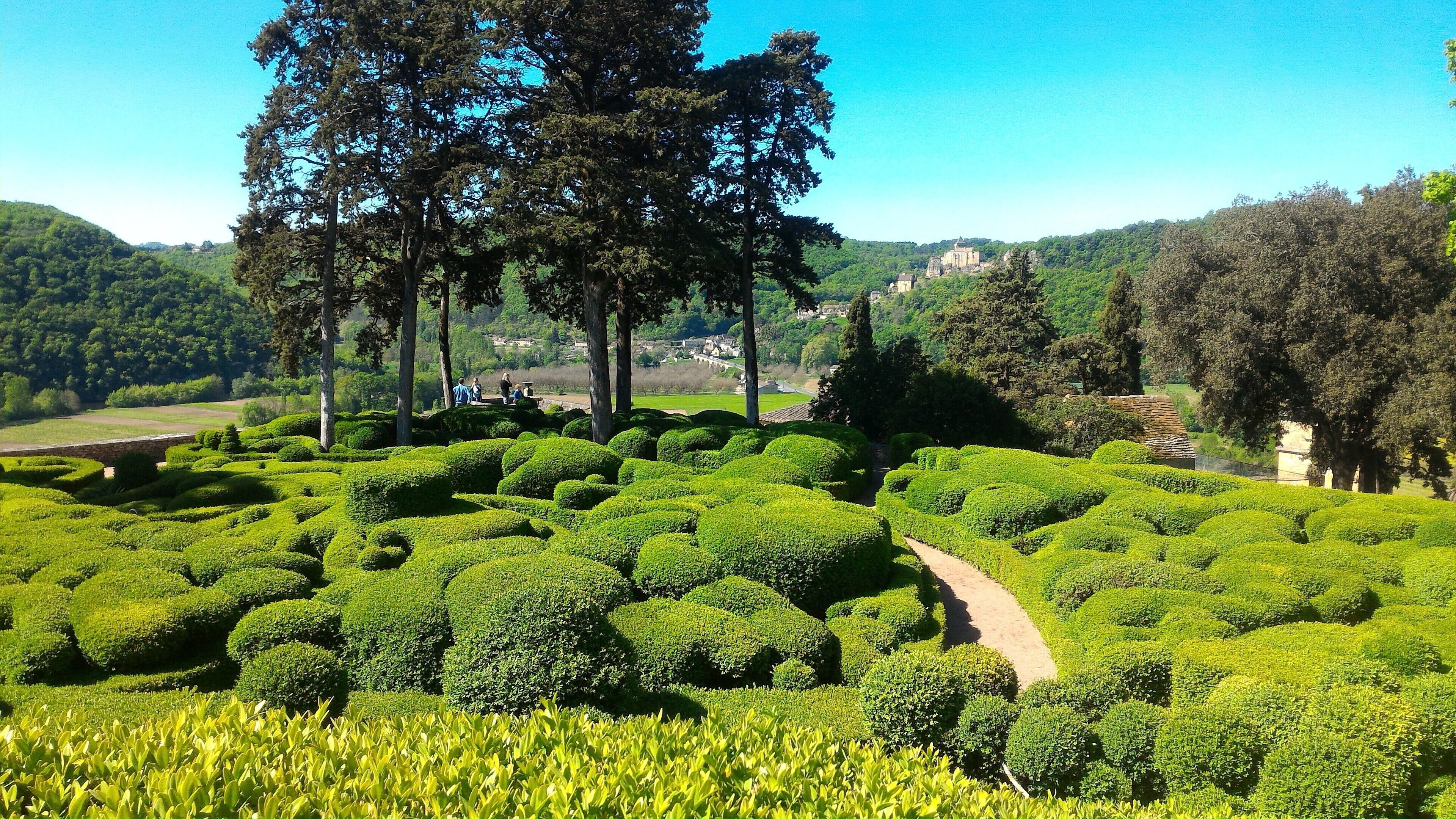 Un jardin luxuriant, avec des haies soigneusement taillées et un sentier.