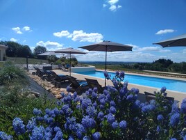 Zona de piscina con sillones de descanso y sombrillas, rodeada por un jardín paisajístico con flores azules.