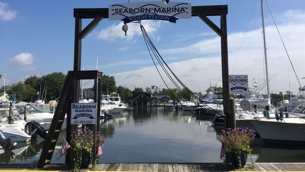 Entrada a un puerto deportivo con un letrero que indica 'Seaborn Marina Weigh Station', barcos amarrados y una gran escultura de tiburón en la parte superior.