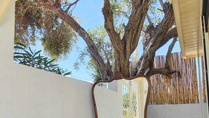 A tree in a backyard with a metal sculpture and a bamboo fence. - Giritlim Butik Otel (Cesme)