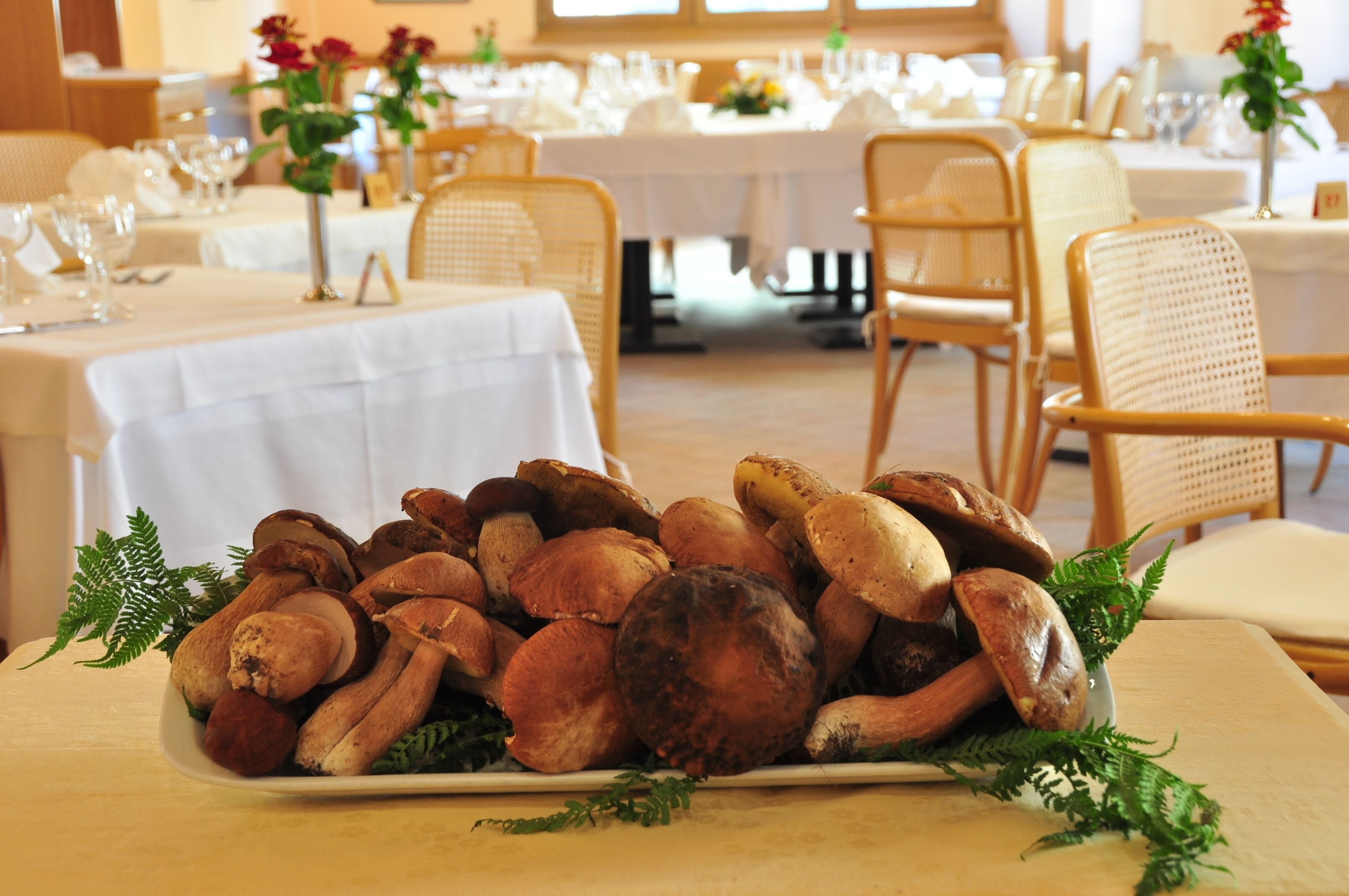 Frühstück, Mittagessen, Abendessen, italienische Küche 