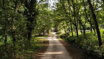 Entrada al alojamiento