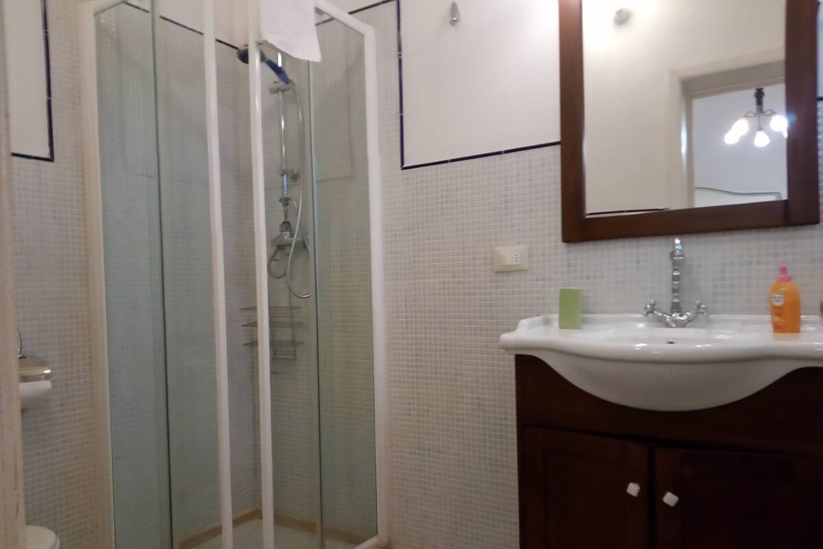 Ducha, cabezal de ducha tipo lluvia, secador de pelo, bidet
