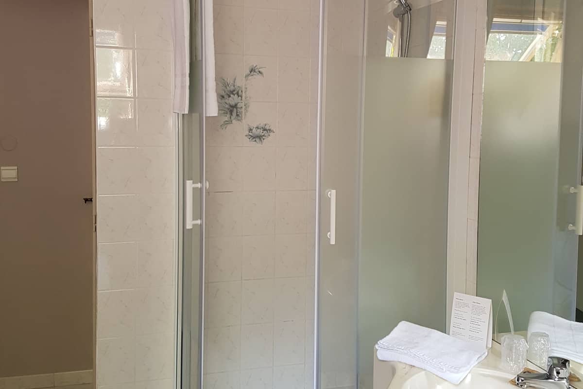 A bathroom with a glass-enclosed shower, a white sink, and a mirror.