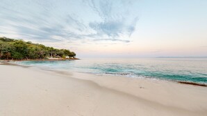 A beach with a sandy shore, calm water, and a forested area with buildings in the background.