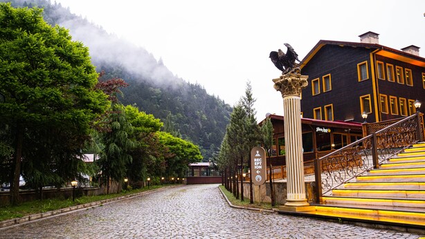 A cobblestone street leading to a building with a reception sign, surrounded by lush greenery and mountains in the background. - Flora Uzungol Resort Hotel (Çaykara)