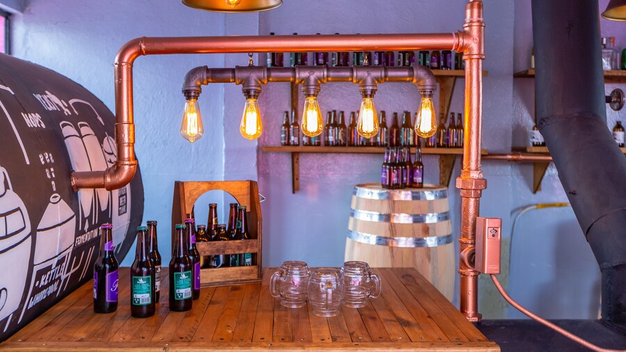 Mala Vecindad Beer Hotel