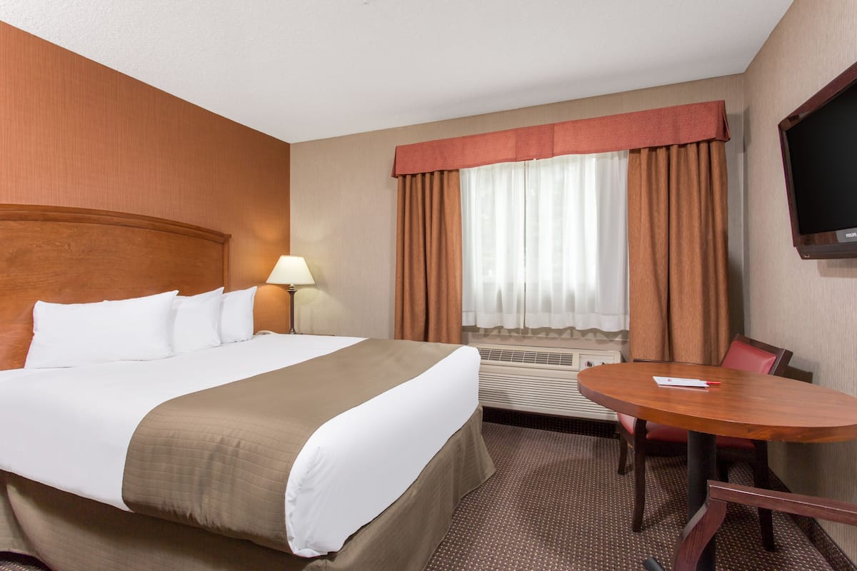 Deluxe Single Room, 1 Katil Ratu (Queen) | Peti besi dalam bilik, meja, seterika/papan seterika, Wi-fi percuma