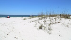 Une plage de sable blanc, avec une végétation clairsemée et un ciel bleu azur.