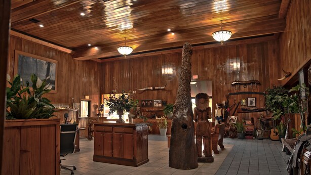 A rustic interior with wooden walls, a central wooden tree sculpture, and various decorative items.