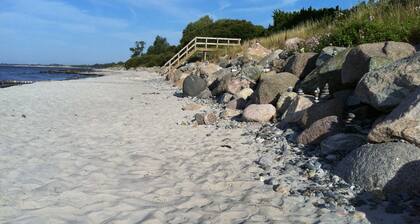 Gemütliches Ferienhaus 50 m vom Strand