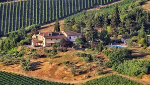 A vineyard with rows of grapevines, a house with a swimming pool, and a hilly landscape. - 1600s Rural Villa in Chianti with Pool and AC just a few steps from Florence (Montespertoli)