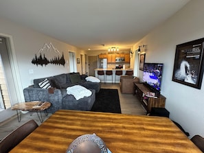 TV, fireplace, video games, DVD player