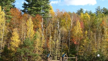 Basketball court
