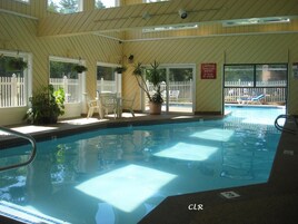 Una piscina interior con techo de madera, plantas en macetas y un área exterior cercada visible a través de las ventanas.