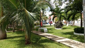 Vườn