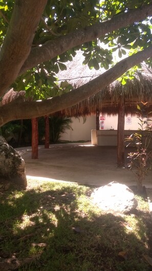 A covered outdoor area with a thatched roof, palm trees, and a fire extinguisher sign.