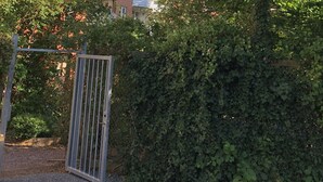 Blick von der Unterkunft