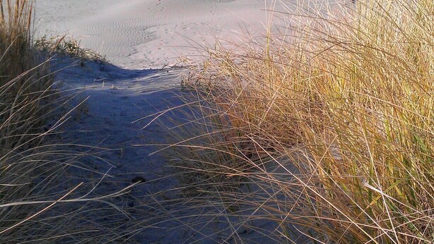 Een zandstrand met golven op de achtergrond.