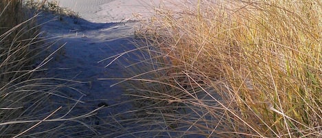 Vlak bij het strand