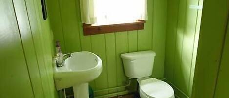 Een kleine badkamer met groene wanden, een wit wastafelmeubel en een wit toilet.