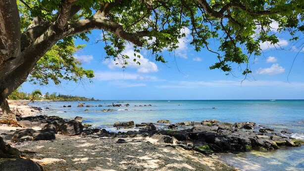 Une plage rocheuse avec une eau claire et un arbre qui offre de l’ombre.