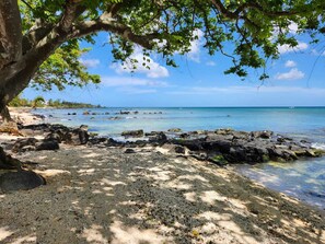 Une plage rocheuse avec une eau claire et un arbre qui offre de l’ombre.