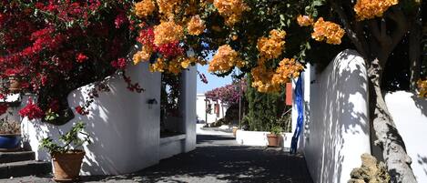 Overnattingsstedets uteområder