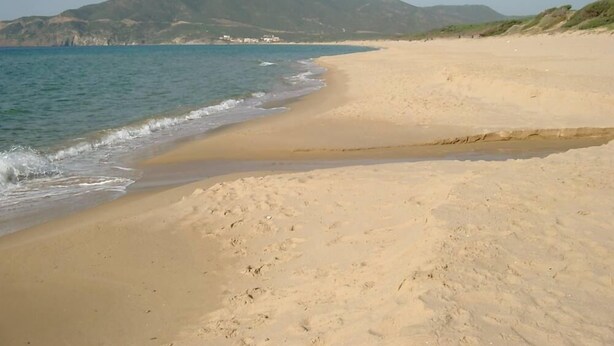 Une plage avec une montagne en arrière-plan et un ciel dégagé.