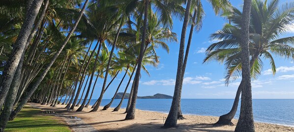 Enjoy a tranquil beach scene with palm trees leading to the ocean and a distant island.